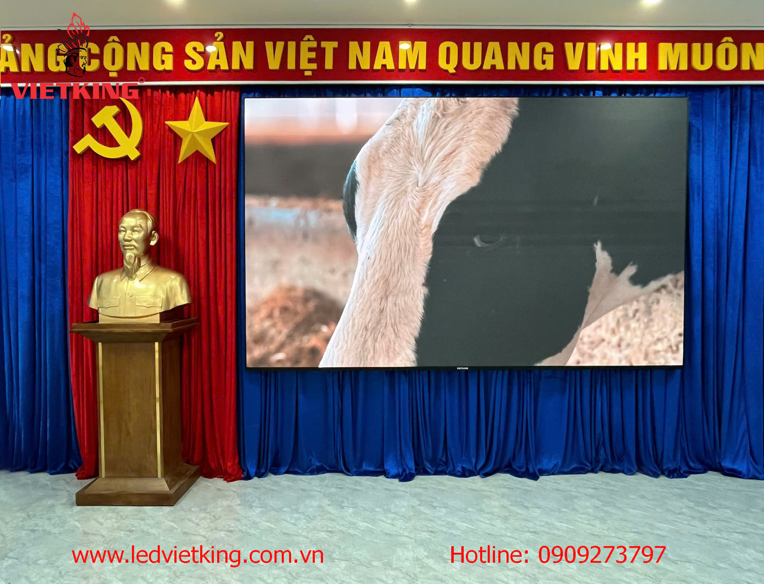 ledvietking